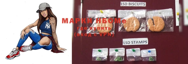 амф Вязьма